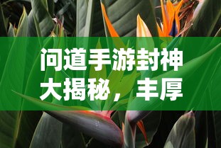 问道手游封神大揭秘，丰厚奖励一网打尽  第1张