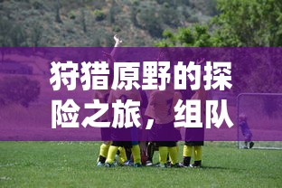 原野探险之旅，组队手游的乐趣与挑战  第1张