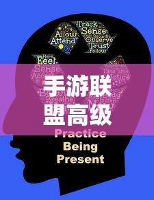手游联盟高级设置详解，全面解析与操作指南  第1张