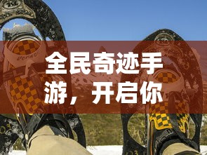 京东商城签到指南，轻松几步，轻松获取积分与优惠  第1张