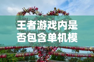 王者游戏手游体验解析，是否包含单机模式？  第1张