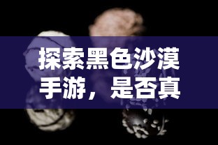 黑色沙漠手游探秘，是否真的存在坑？  第1张