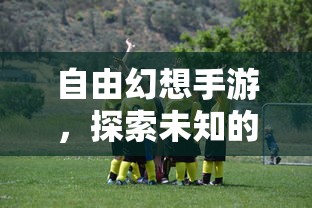 自由幻想手游，探索未知的乐趣之旅  第1张