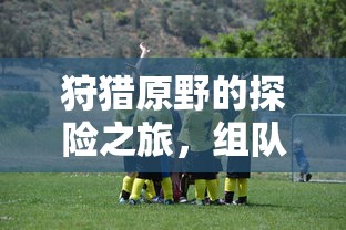 原野探险之旅，组队手游的乐趣与挑战  第1张