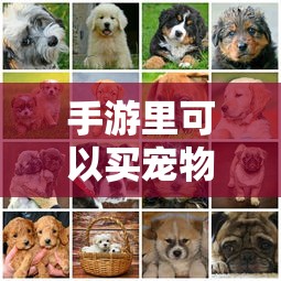 瓷房子主人张连志现状  第1张