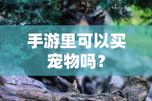手游中是否可以买宠物的探讨  第1张