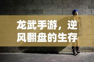 龙武手游，逆风翻盘的生存之道  第1张