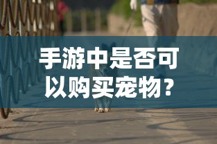 手游中是否可以购买宠物？  第1张