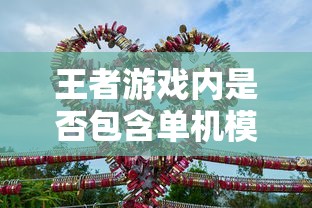 王者游戏手游体验深度解析，是否包含单机模式？  第1张