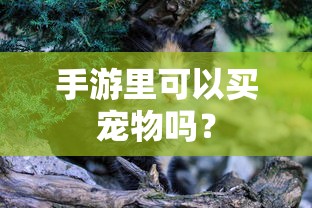 手游中是否可以买宠物的探讨  第1张