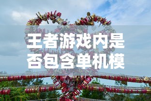 王者游戏手游体验深度解析，是否包含单机模式？  第1张
