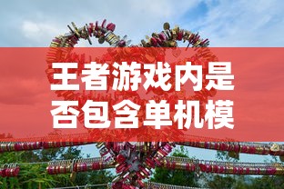 王者游戏手游体验深度解析，是否包含单机模式？  第1张