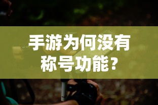 手游为何缺乏称号功能？  第1张