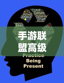 手游联盟高级设置详解，全面解析与操作指南  第1张