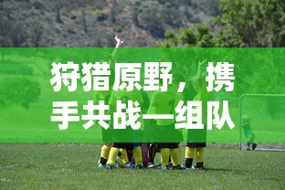 狩猎原野，携手共战，组队手游的乐趣探索之旅  第1张