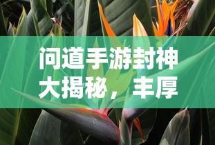 问道手游封神大揭秘，丰厚奖励等你来挑战  第1张