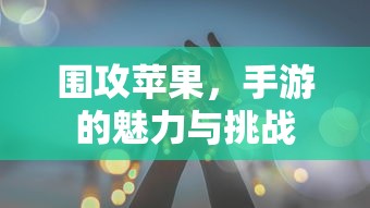 四海兄弟最终版  第1张
