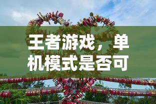 王者游戏，手游领域中单机模式的可行性探讨  第1张