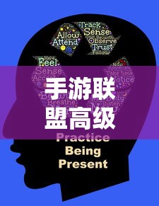 手游联盟高级设置详解，全面解析与操作指南  第1张
