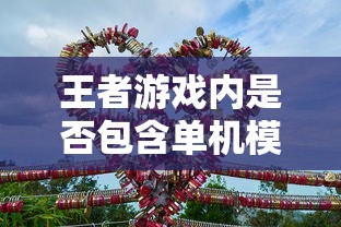 王者游戏手游体验深度解析，是否包含单机模式？  第1张