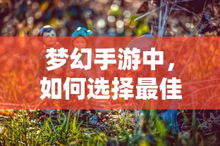 梦幻手游，孩子角色选择指南  第1张
