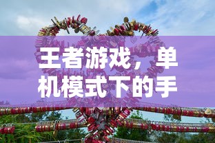 王者新体验，单机模式下的手游之旅  第1张