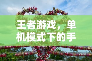 王者新体验，单机模式下的手游之旅  第1张