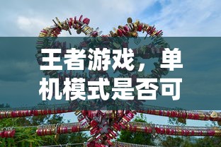 王者游戏，手游领域中单机模式的可行性探讨  第1张