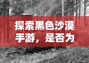 探索黑色沙漠手游，是否为坑？  第1张
