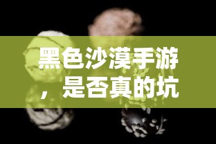 黑色沙漠手游，玩家是否真的遭遇了坑局？  第1张