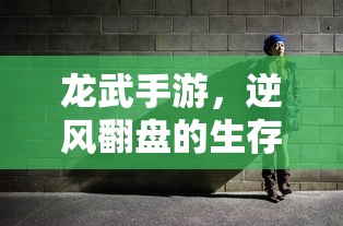 龙武手游，逆风翻盘的生存之道  第1张