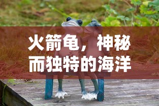 火箭龟，神秘独特的海洋生物  第1张