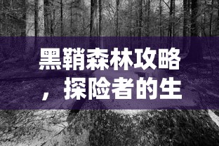 黑鞘森林探险生存指南  第1张