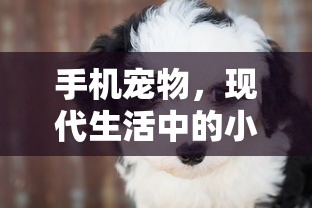 倒库移库图解视频  第1张