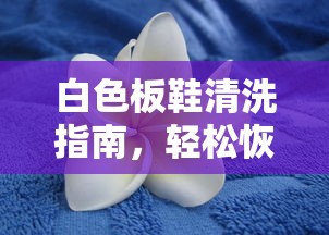 白色板鞋清洗指南，轻松恢复洁净如新  第1张