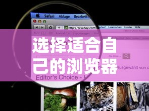 选择适合自己的浏览器，如何挑选最佳浏览器？  第1张