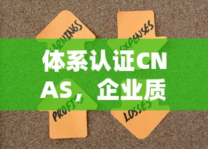 CNAS体系认证，企业质量管理的关键一环  第1张