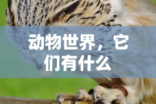 动物世界的奇妙多样性，它们有什么？  第1张