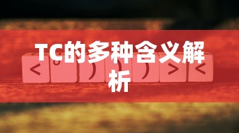 TC，多义词解析  第1张