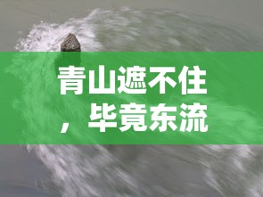 林嘉琪南平八中  第1张