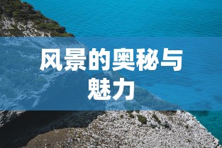 天使眼大灯  第1张