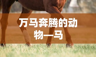 微微一笑很倾城小说免费全文阅读  第1张