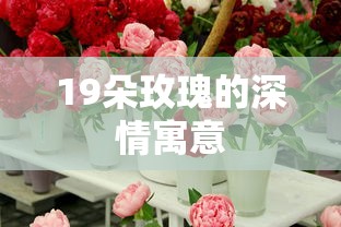f777  第1张