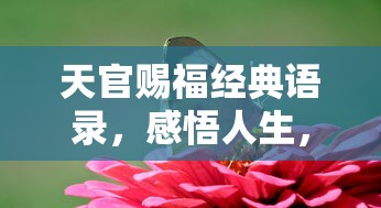 b2驾驶证能开14座客车吗视频  第1张
