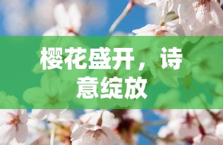 樱花盛开，诗意绽放的美丽瞬间  第1张