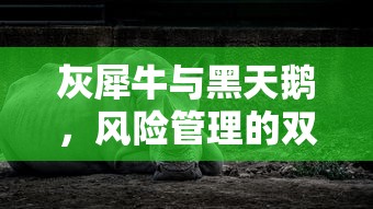 灰犀牛与黑天鹅，双重风险管理的挑战  第1张