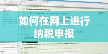 网上纳税申报，步骤与操作指南  第1张