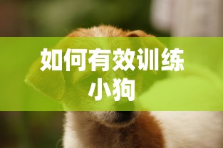 刺激战场亚服体验服下载安装  第1张