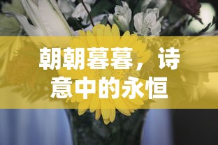 朝暮诗意，永恒的诗篇  第1张