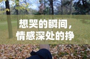 情感深处的挣扎与释放，想哭的瞬间  第1张